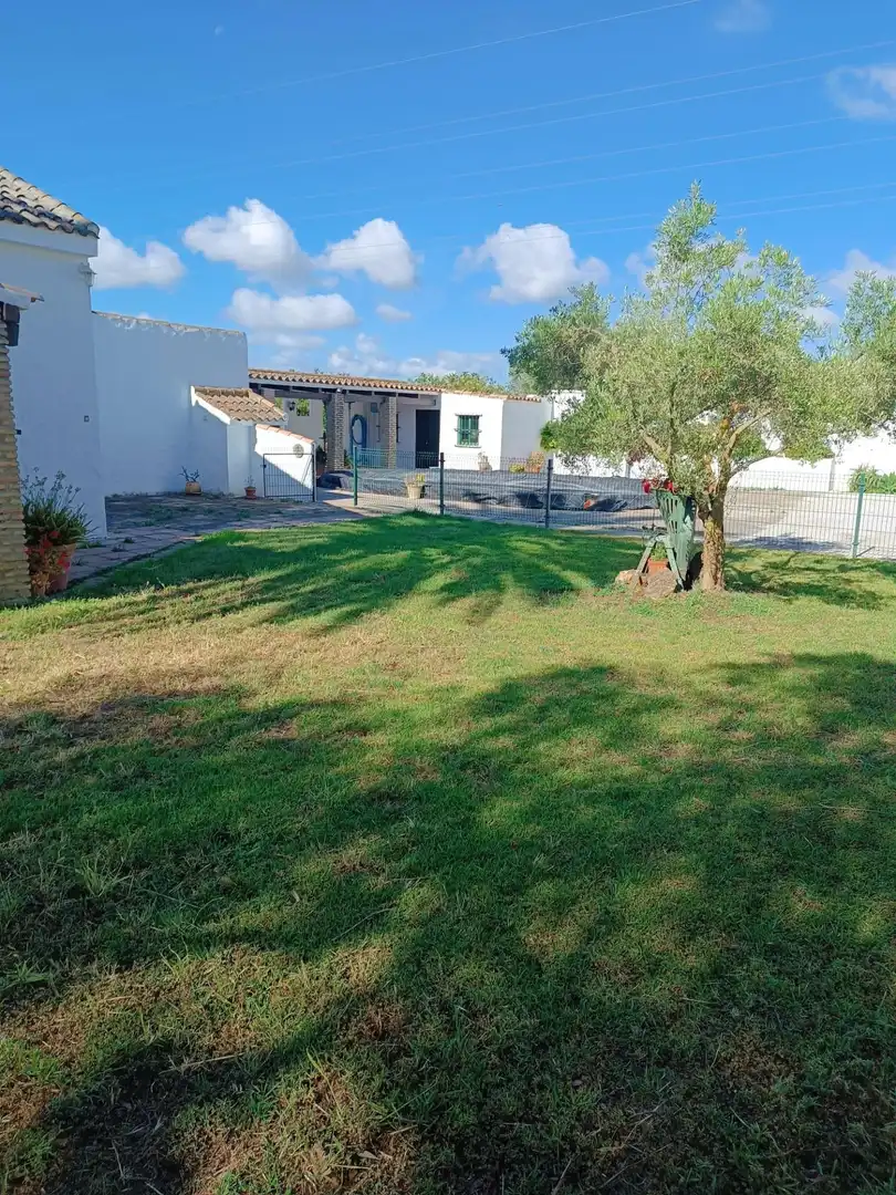 Jardín de Casa o chalet en venta en Puerto Real