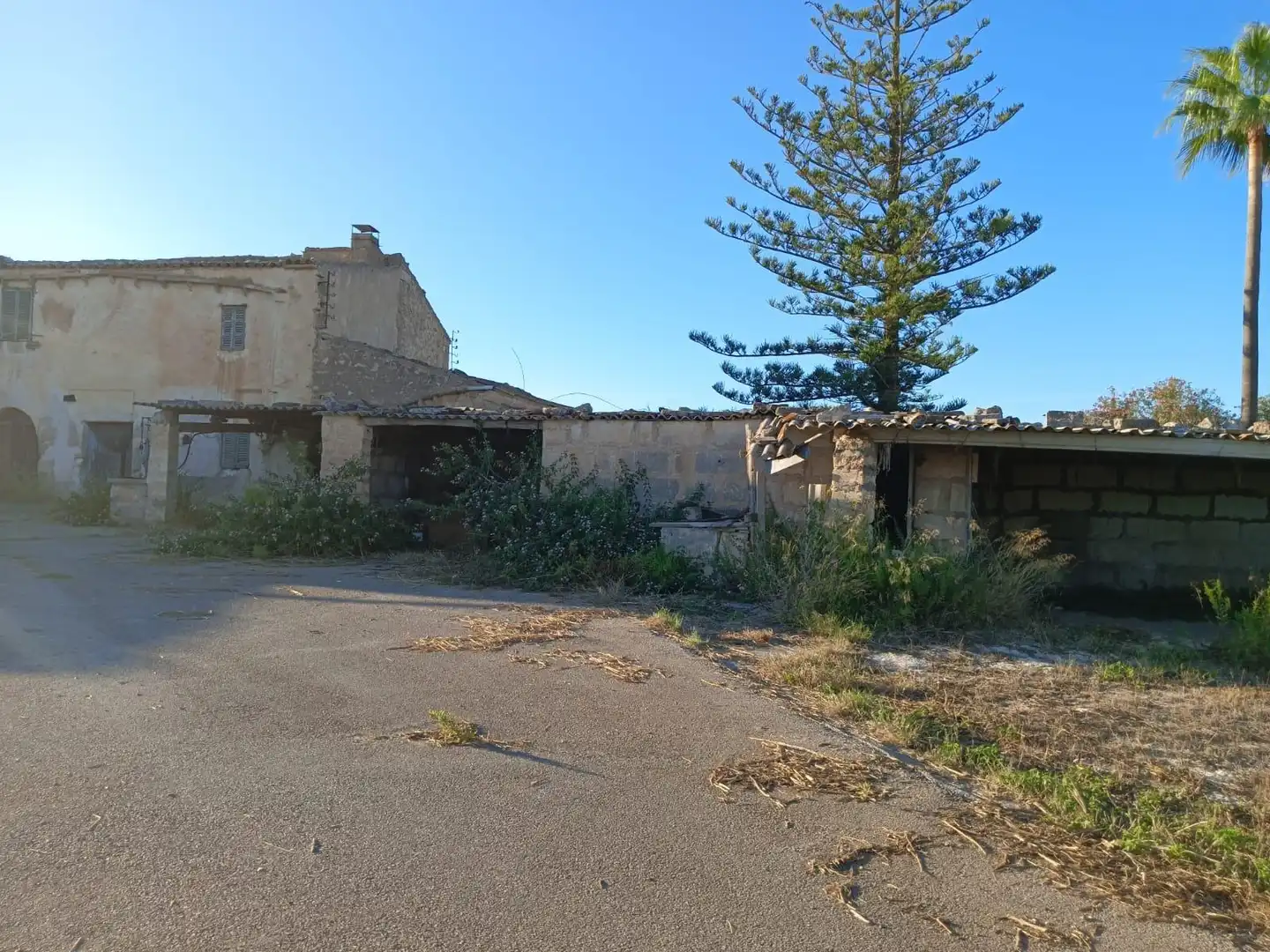 House for sale in Manacor Centre, imagen 16