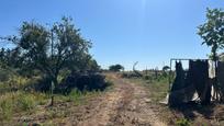 Land for sale in Los Palacios y Villafranca