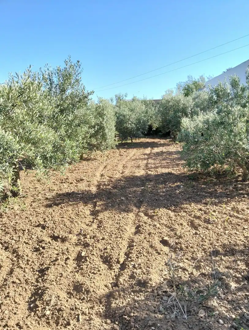 Country homes for sale in Chiclana de la Frontera