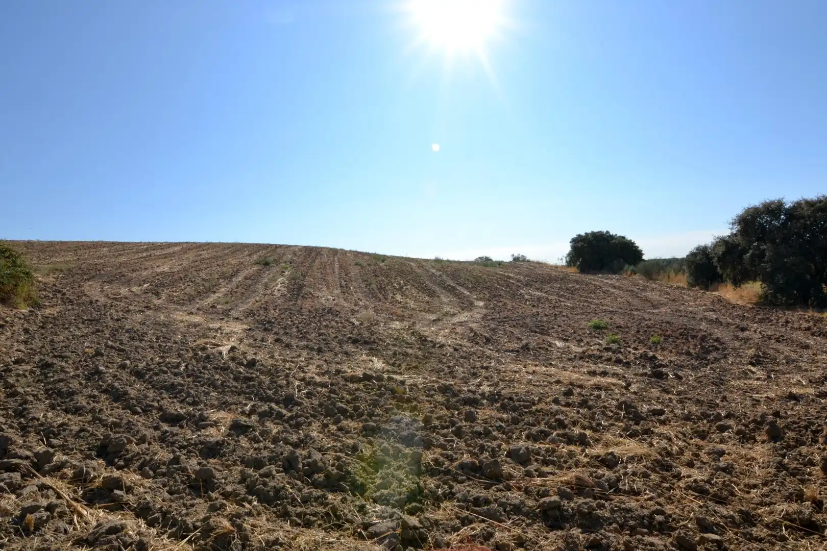 Terreny rústic en venda a Camino Sacedón, imagen 4