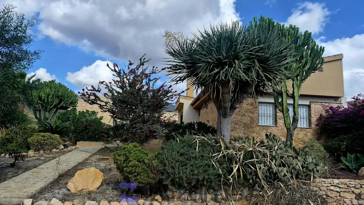 Exterior view of Houses for rent in Pedanías Oeste