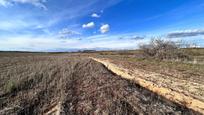 Land for sale in Casarrubios del Monte