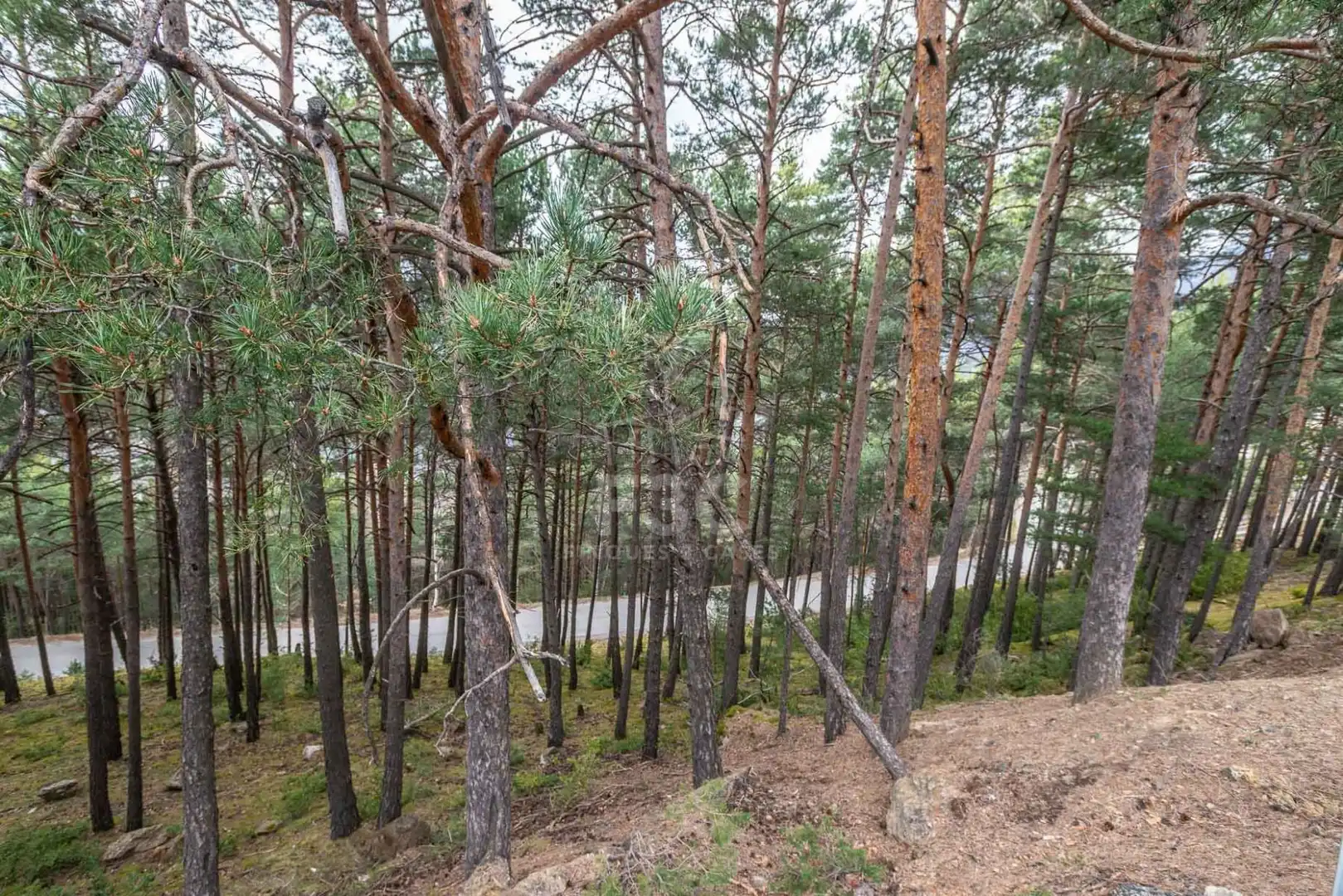 Terreno en venta en Aubinyà - Juberri