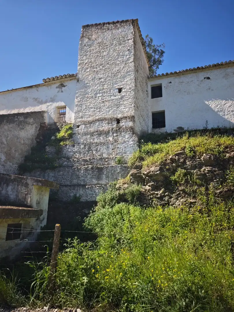 Vista exterior de Finca rústica en venda en Cártama