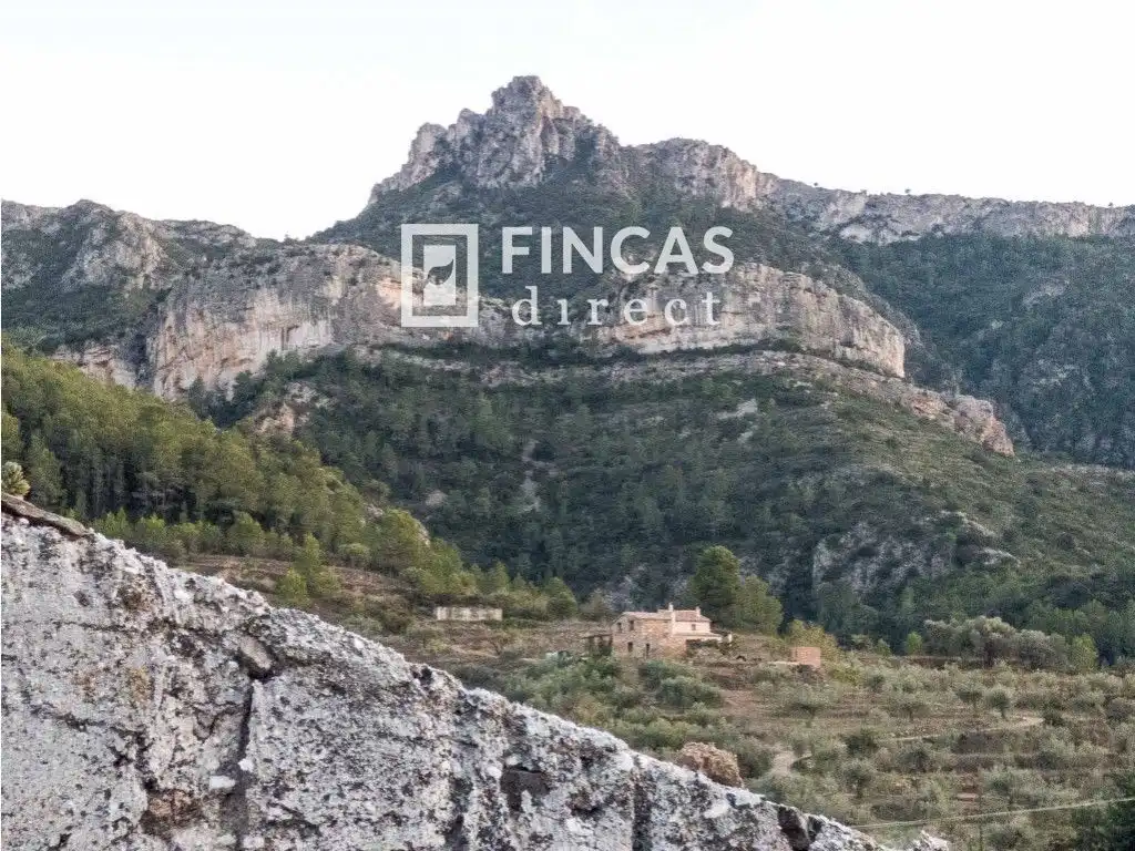 Vista exterior de Finca rústica en venta en Benifallet con Trastero