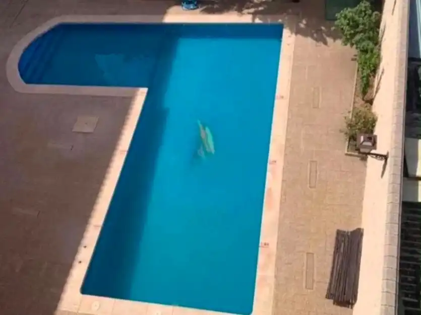 Wohnung mit Pool zur Miete in Calle Miguel Primo de Rivera 1, imagen 2