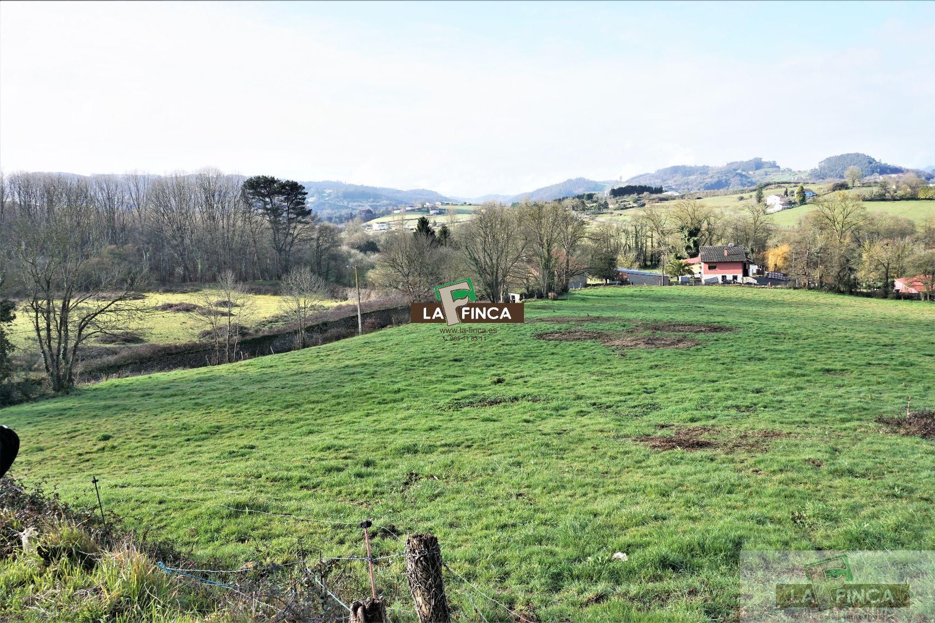 Residencial en venda a Llanera