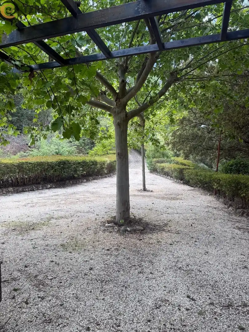 Vista exterior de Finca rústica en venta en Los Villares con Aire acondicionado