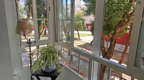 Foto 4 de Pis de lloguer a Calle José Saramago, Parque María Luisa -Giralda Sur,  Sevilla Capital