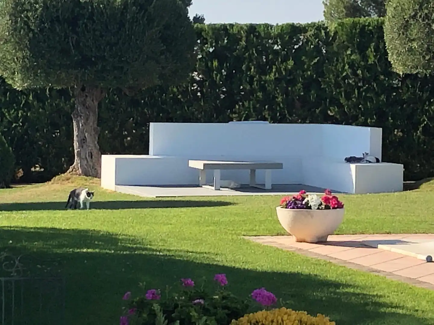 Villa con piscina in vendita a Calle c. de los olivos, imagen 64