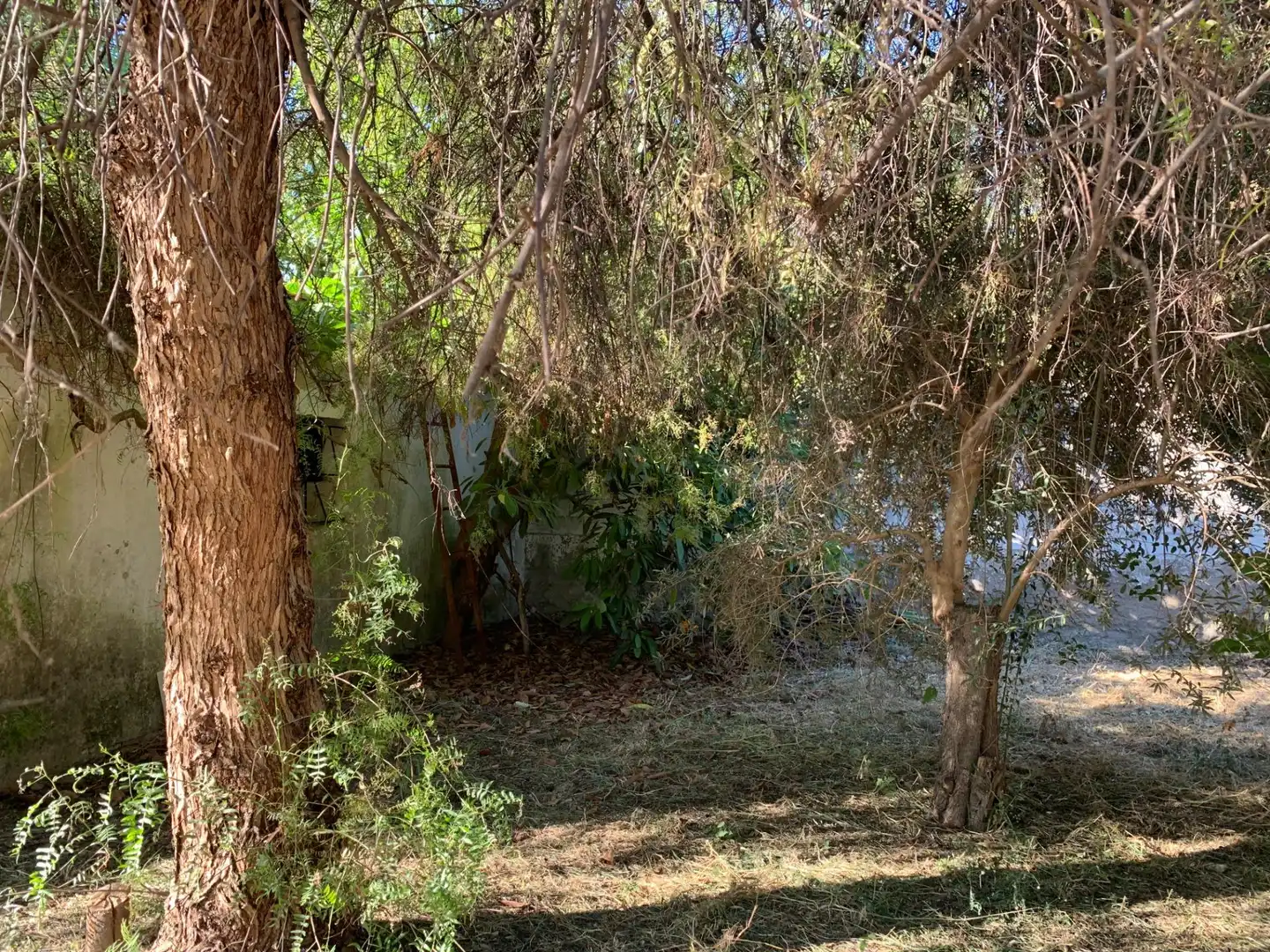 Casa o xalet en venda en Tomares amb Jardí privat, Terrassa i Traster
