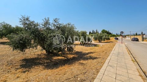 Terreno Urbano en Venta en  , Jaén, immagine 4