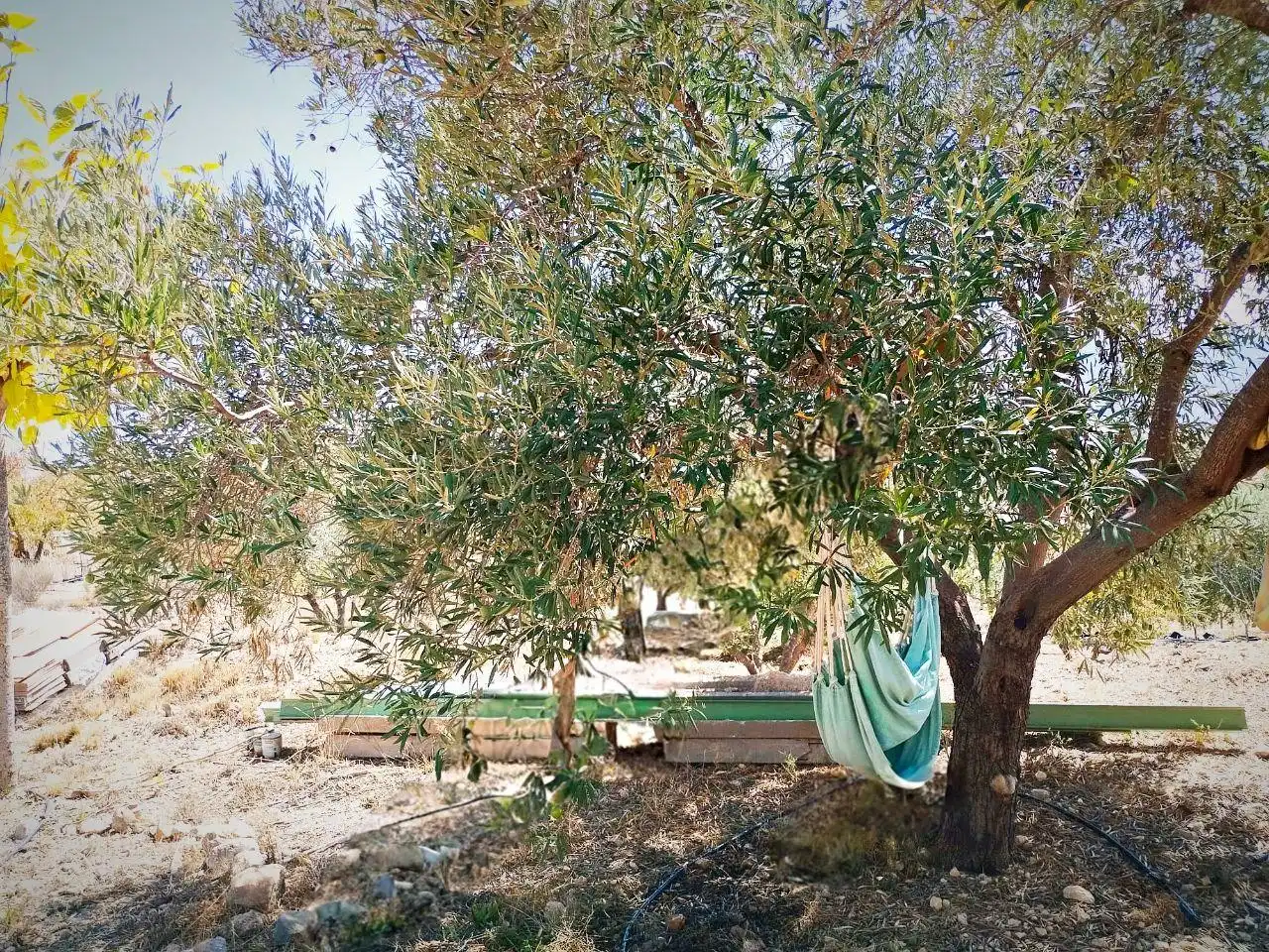 Casa rústica en venda a Hondón de las Nieves / El Fondó de les Neus, imagen 27