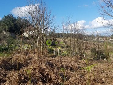Terreno residenziale in vendita a Salvaterra de Miño