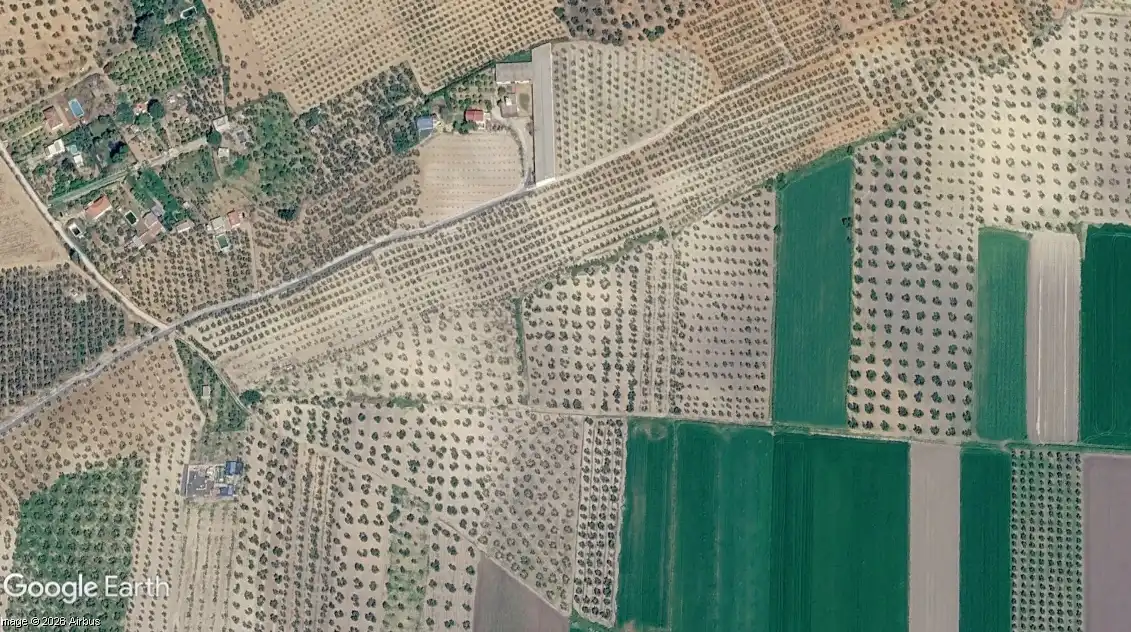 Rural land for sale in Arahal, imagen 2