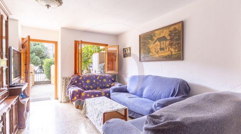 Apartamento planta baja 4 habitaciones y terraza
