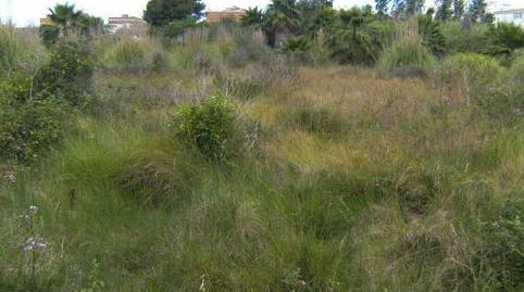 Photo 5 of Residential for sale in La Torre Suelo, 38, Sueca ciudad, Sueca