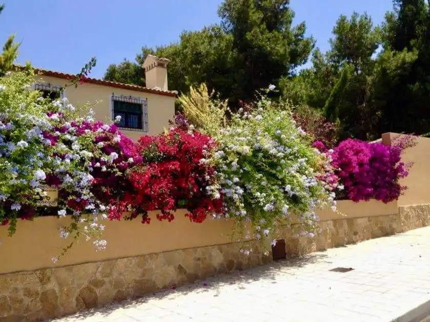 Garden of Houses for sale in Alicante / Alacant  with Air Conditioner, Private garden and Terrace