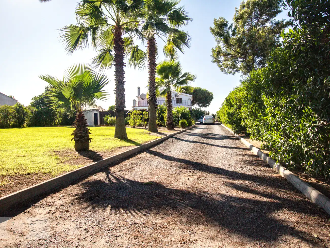Vista exterior de Finca rústica en venta en Cartaya con Jardín privado, Piscina y Amueblado
