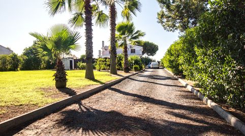 Foto 2 de Finca rústica en venta en Camino Viejo de Aljaraque, Cartaya, Huelva