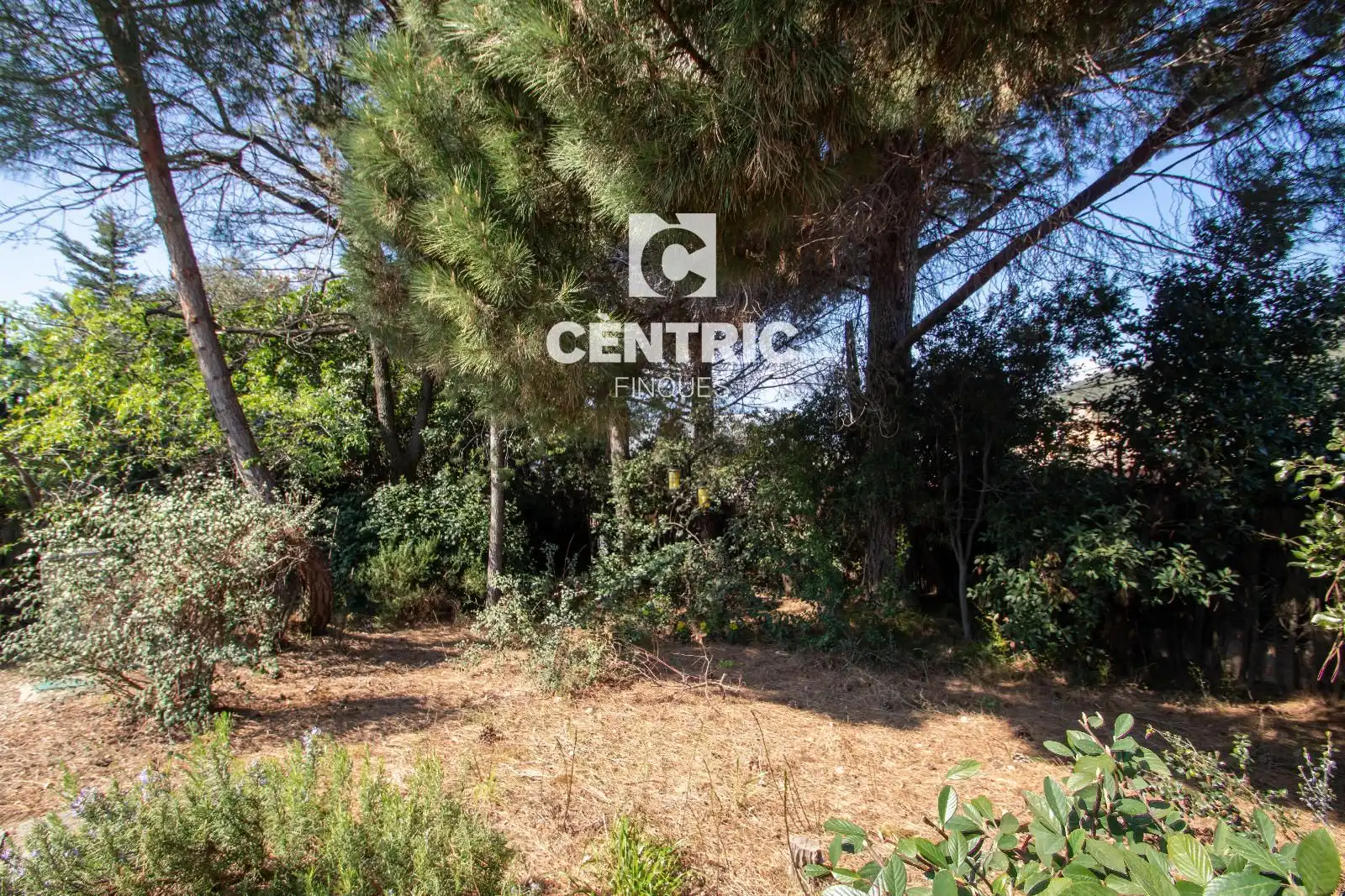 Casa o xalet en venda a Eixample - Can Bogunyà