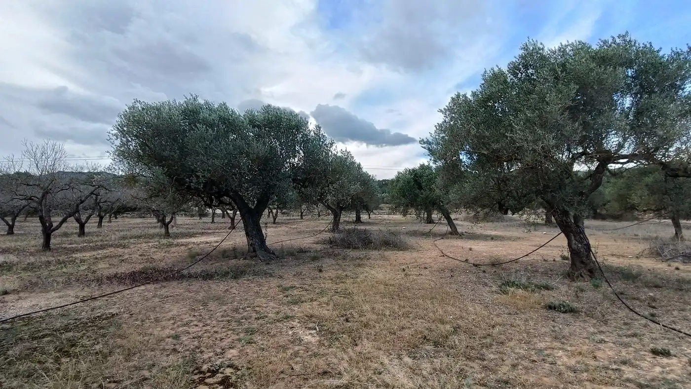 Terrain rustique à vendre à Rasquera, imagen 13