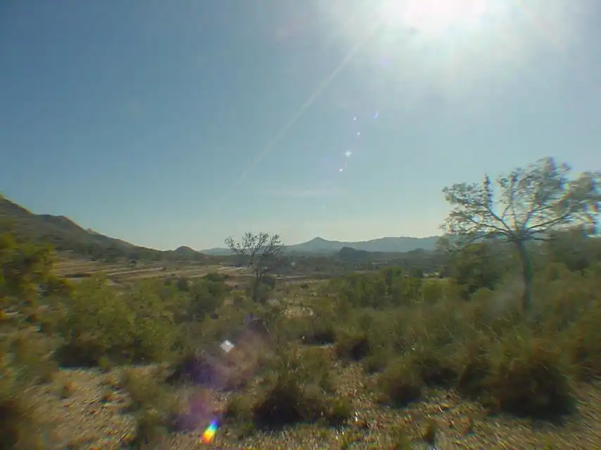 Lands and plots for sale in Abanilla, imagen 7