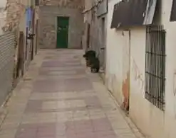 Local comercial en venda a Aspe Centro
