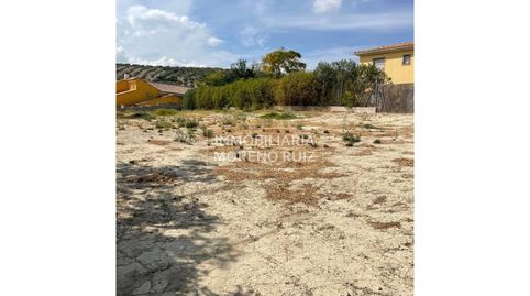 OPORTUNIDAD SOLAR 1050 M2 IDEAL PARA CONSTRUIR EL CHALET DE TUS SUEÑOS., immagine 3
