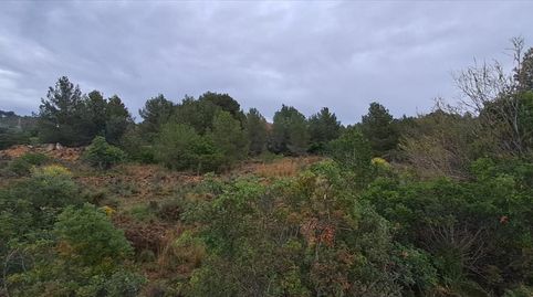 Parc. Ind. en venta en Ribesalbes., imagen 2