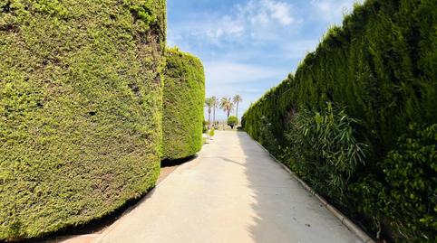 Photo 4 of House or chalet for sale in Perleta - Maitino, Elche / Elx