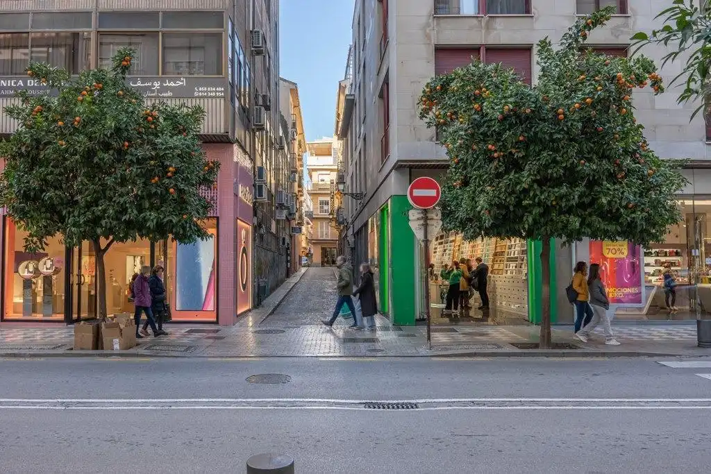Piso con ascensor en venta en Calle Águila, imagen 43