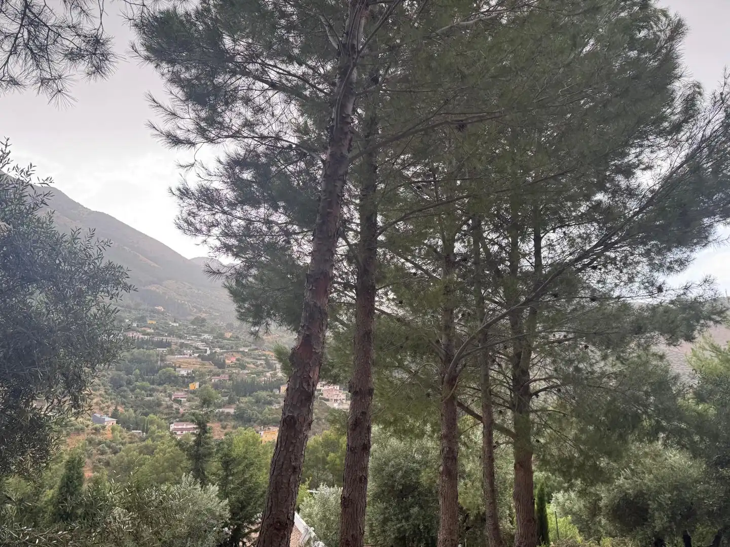 Country house zum Verkauf in Jaén mit Privatgarten, Terrasse und Schwimmbad