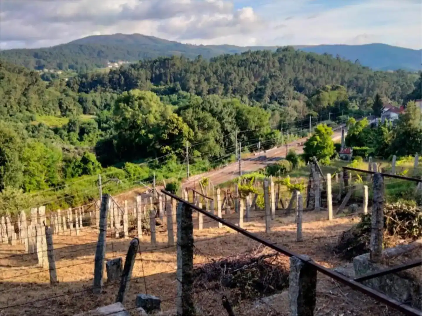 Vista exterior de Casa o xalet en venda en Arbo