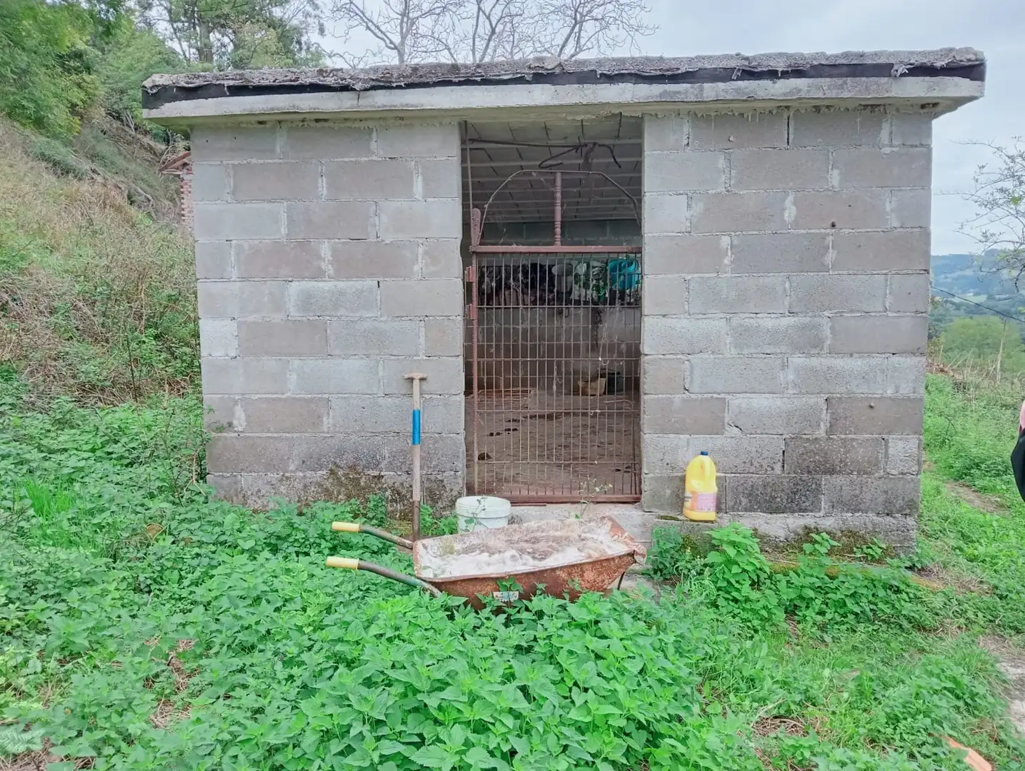 Casa rústica amb jardí en venda a Barrio la Iglesia 16a, imagen 21