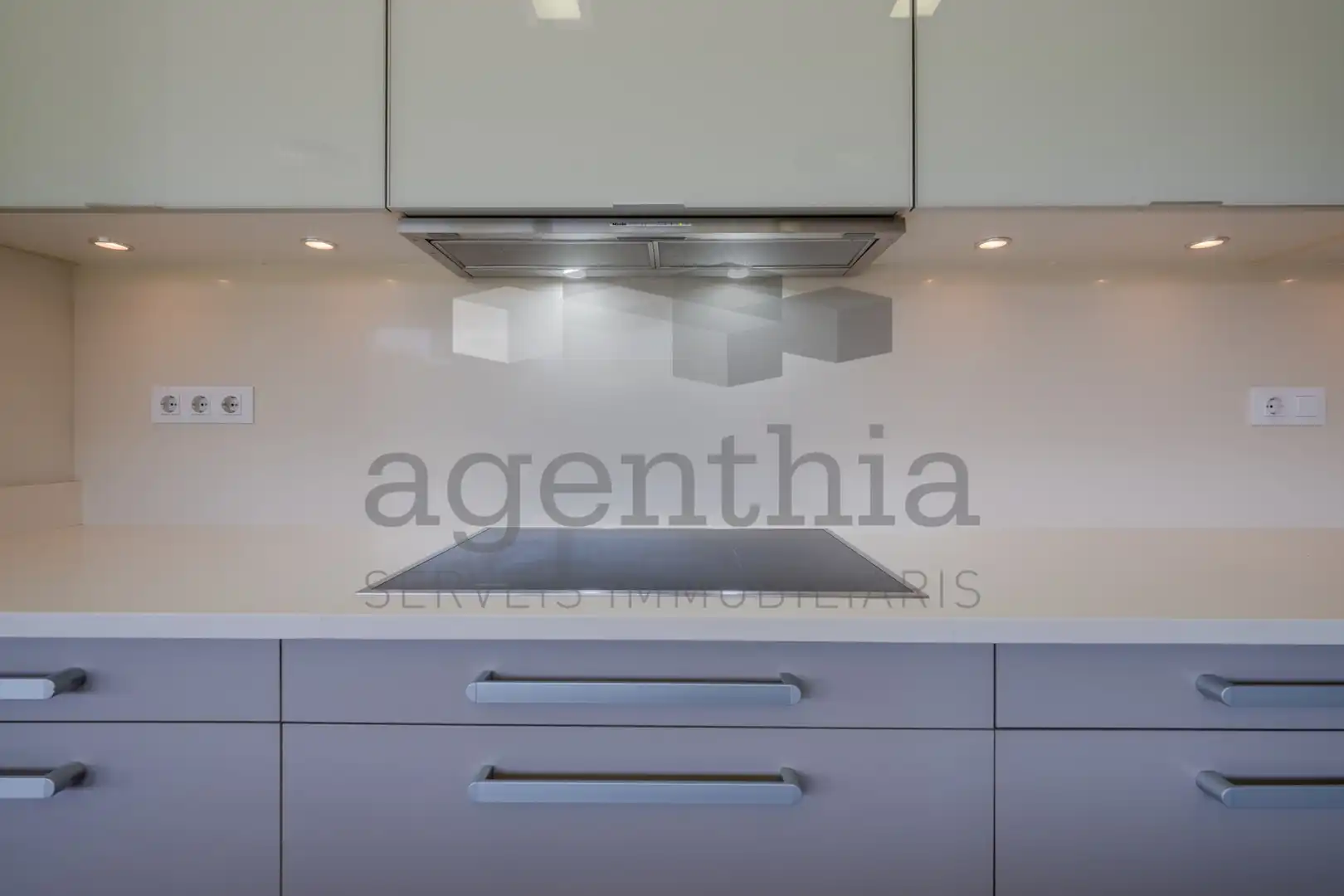 Kitchen of Houses for sale in Vilobí d'Onyar  with Heating, Storage room and Furnished