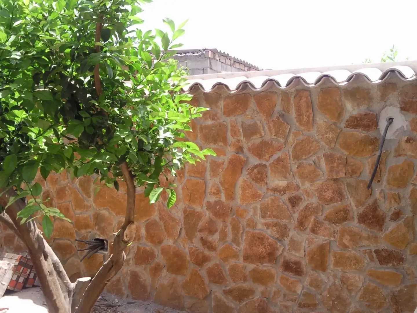 Jardí de Casa adosada en venda en Lorca amb Terrassa