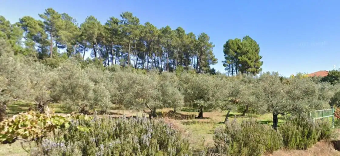 Terreni e lotti in vendita a Calle Teso de Abajo, imagen 5