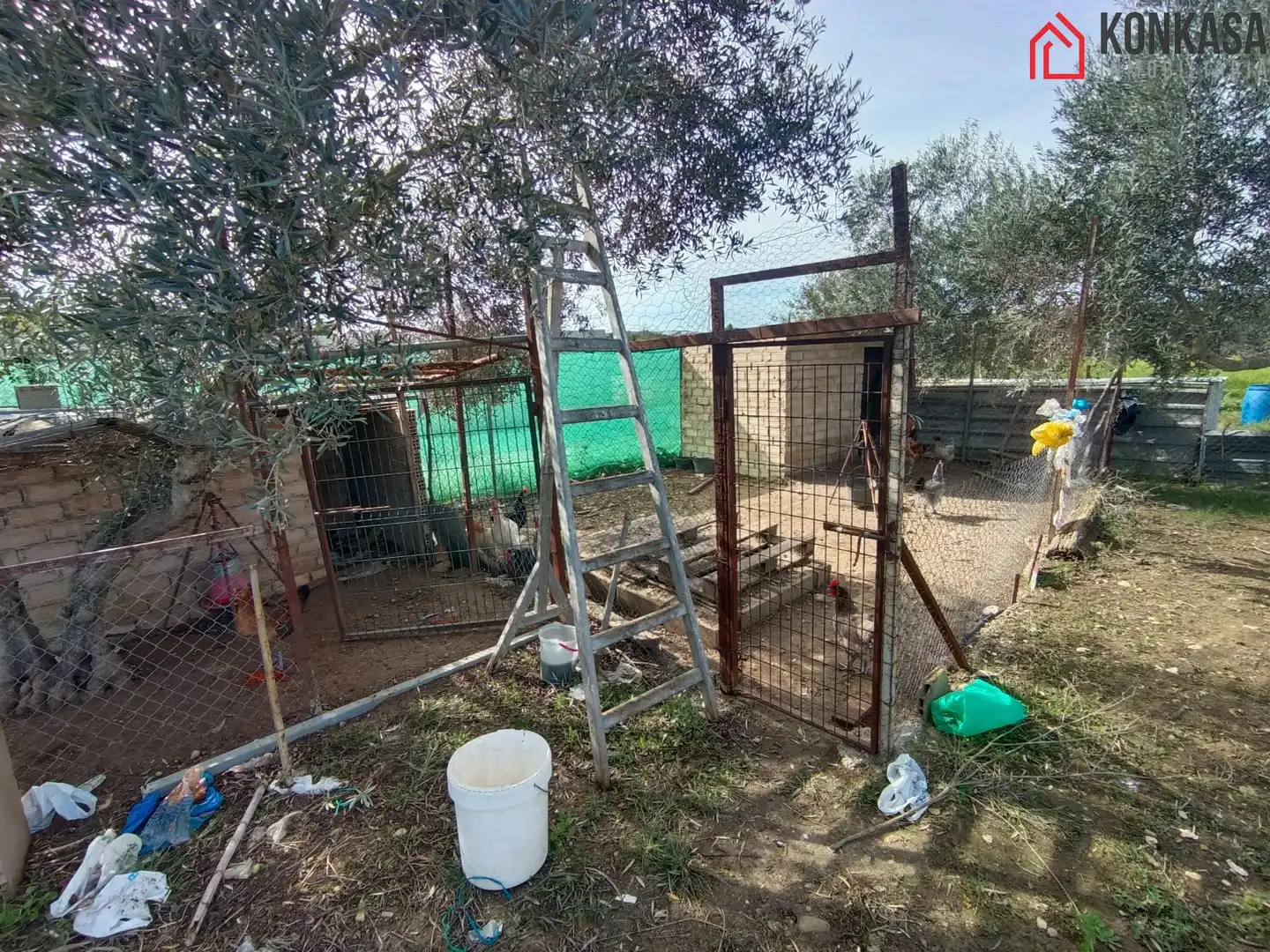 Chalet en venta en Arcos de la Frontera, imagen 26