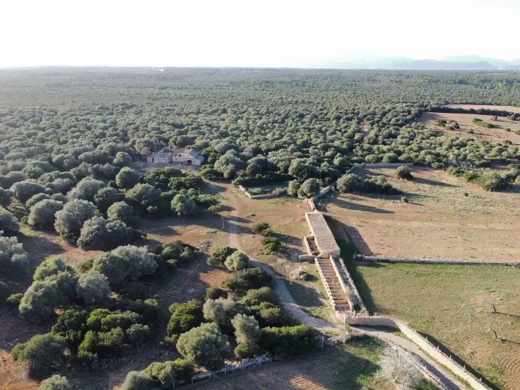 Finca rústica en venta en Santa Margalida