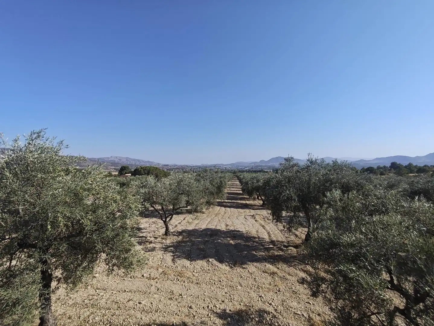 Country homes for sale in Sax  with Private garden, Storage room and Swimming Pool