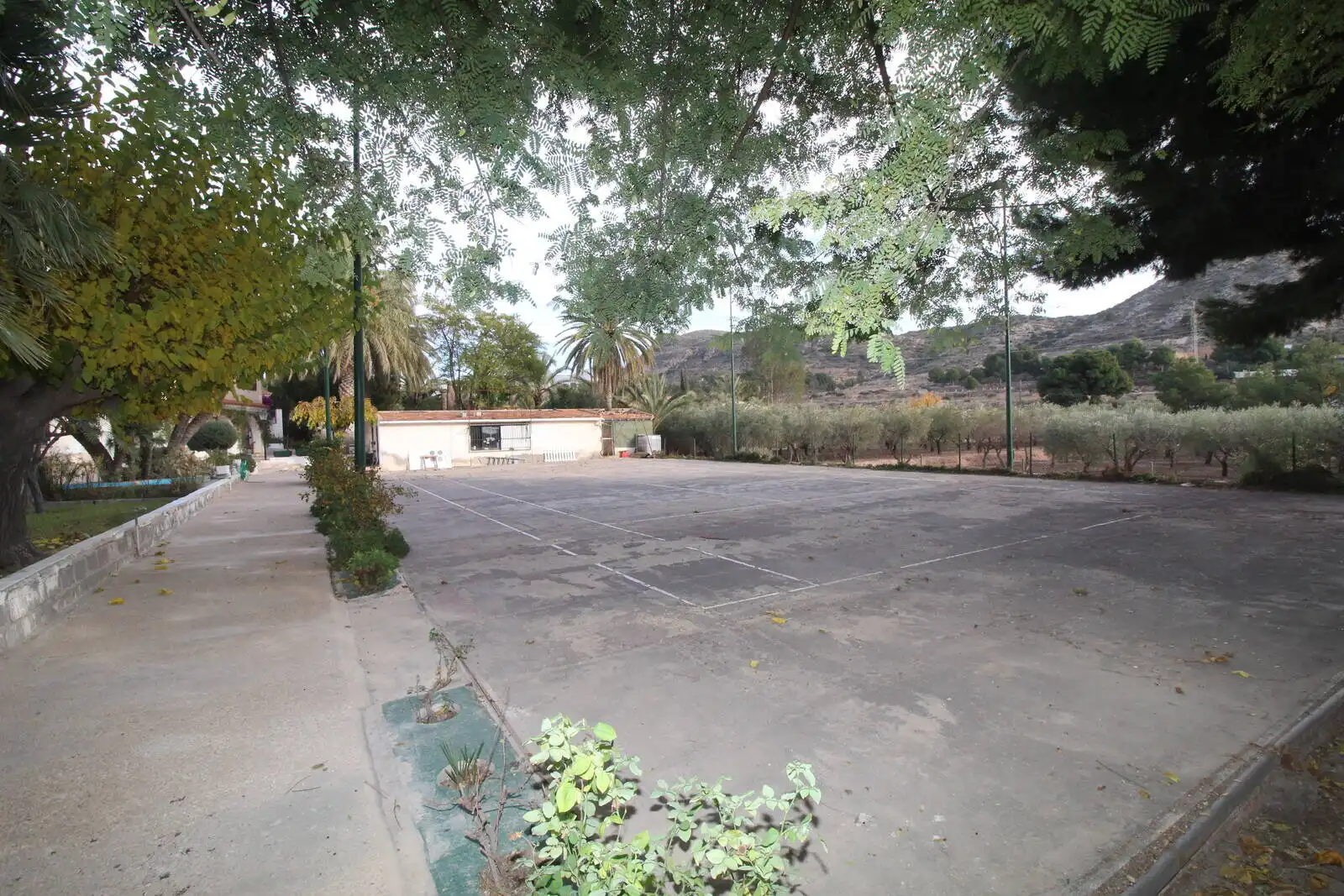 Casa amb terrassa en venda a Campo Alto - Club de Campo, imagen 22