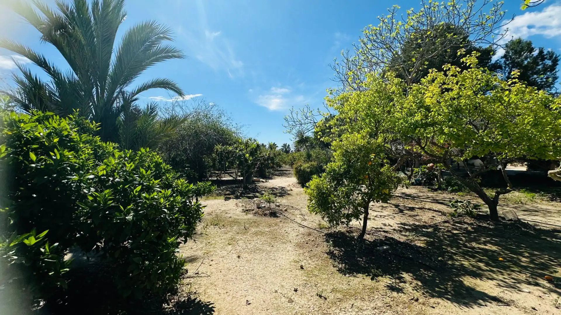 Casa o xalet en venda en Elche / Elx amb Jardí privat, Traster i Piscina