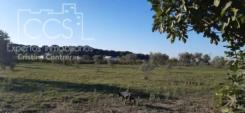 Finca rústica en venta en Almonte