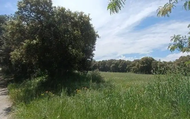 Lands and plots for sale in Igúzquiza, imagen 8