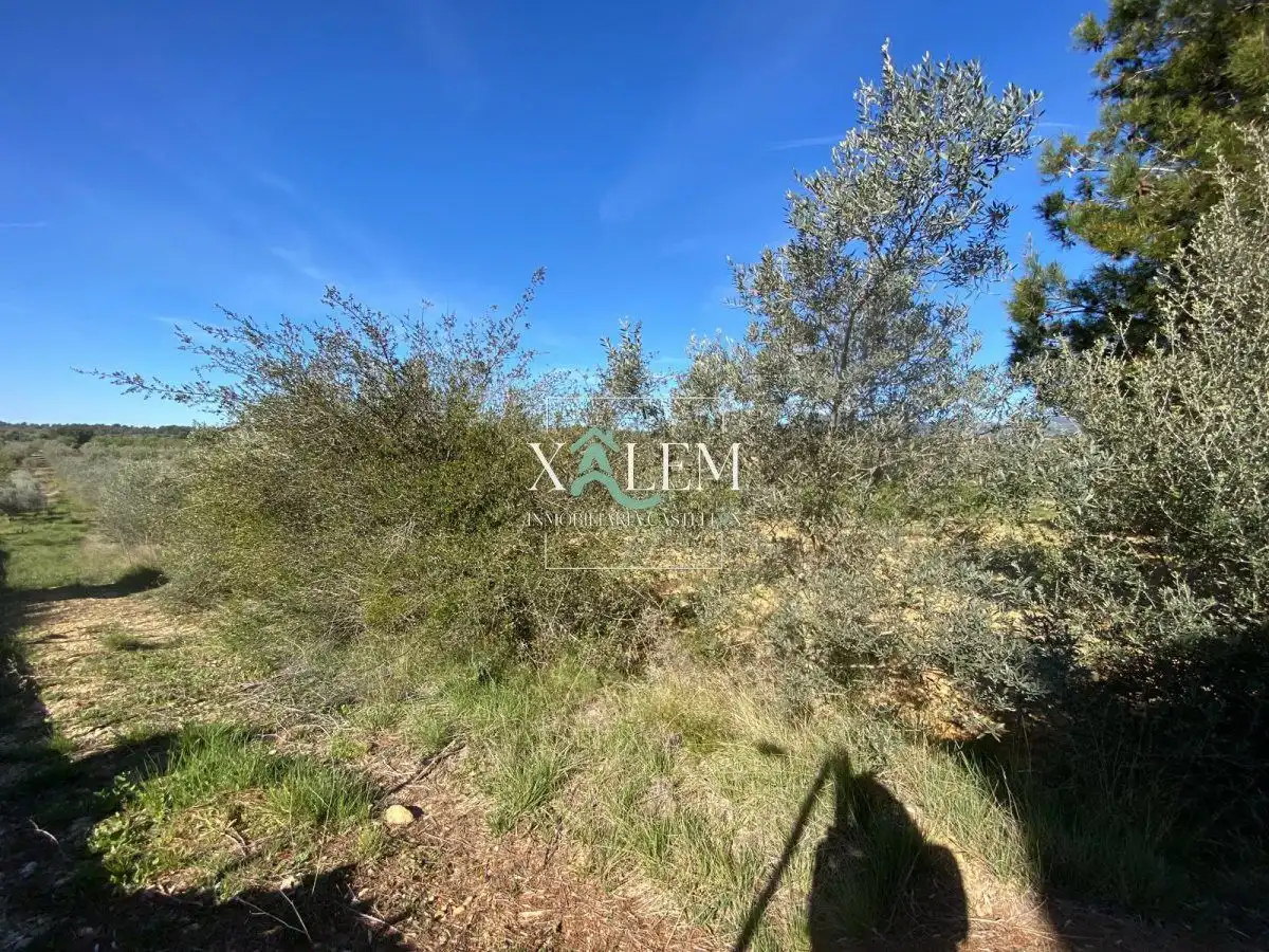 Houses for sale in Vilanova d'Alcolea  with Terrace and Storage room