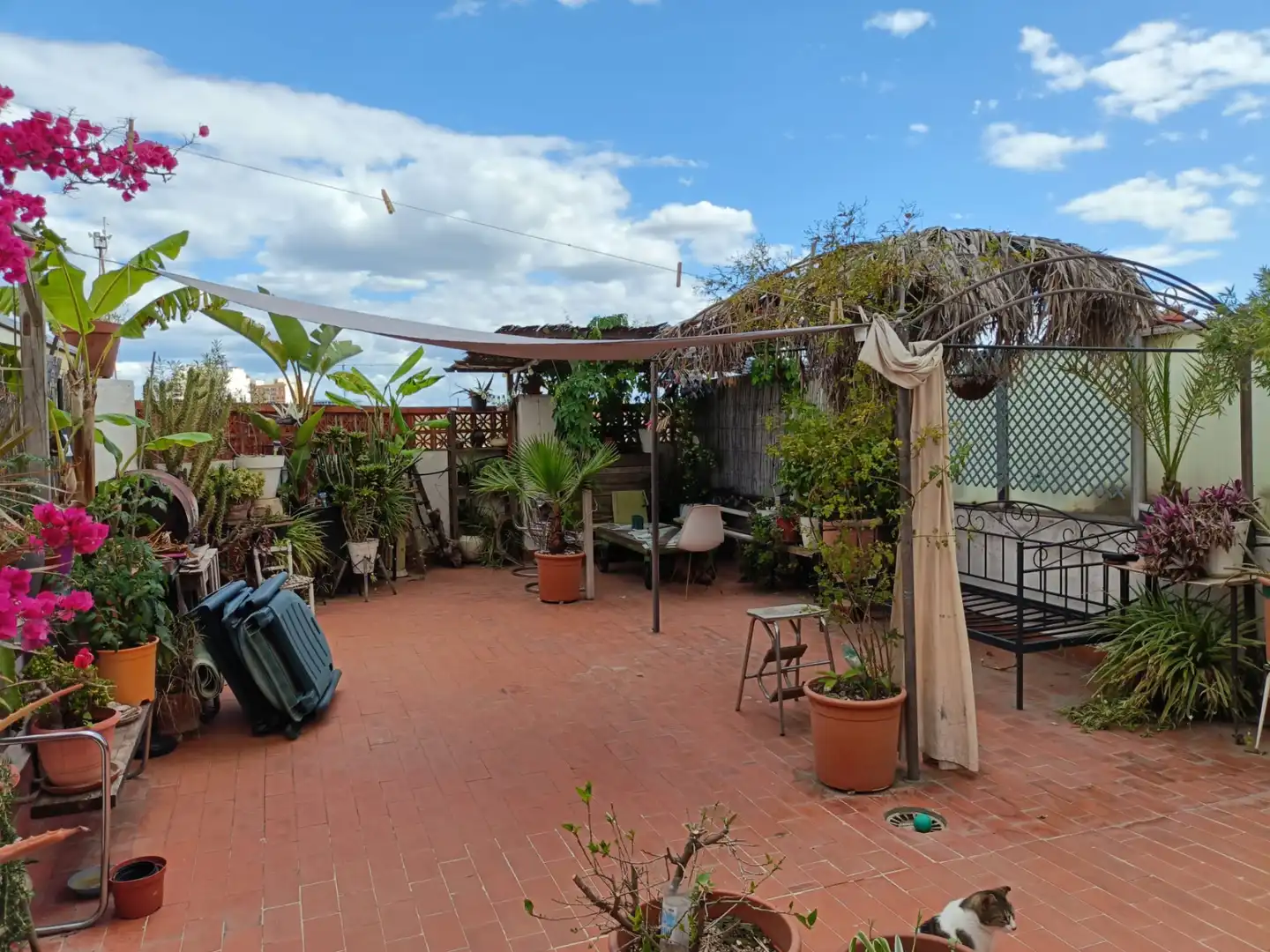 Terrassa de Pis en venda en Valencia amb Aire condicionat, Calefacció i Terrassa