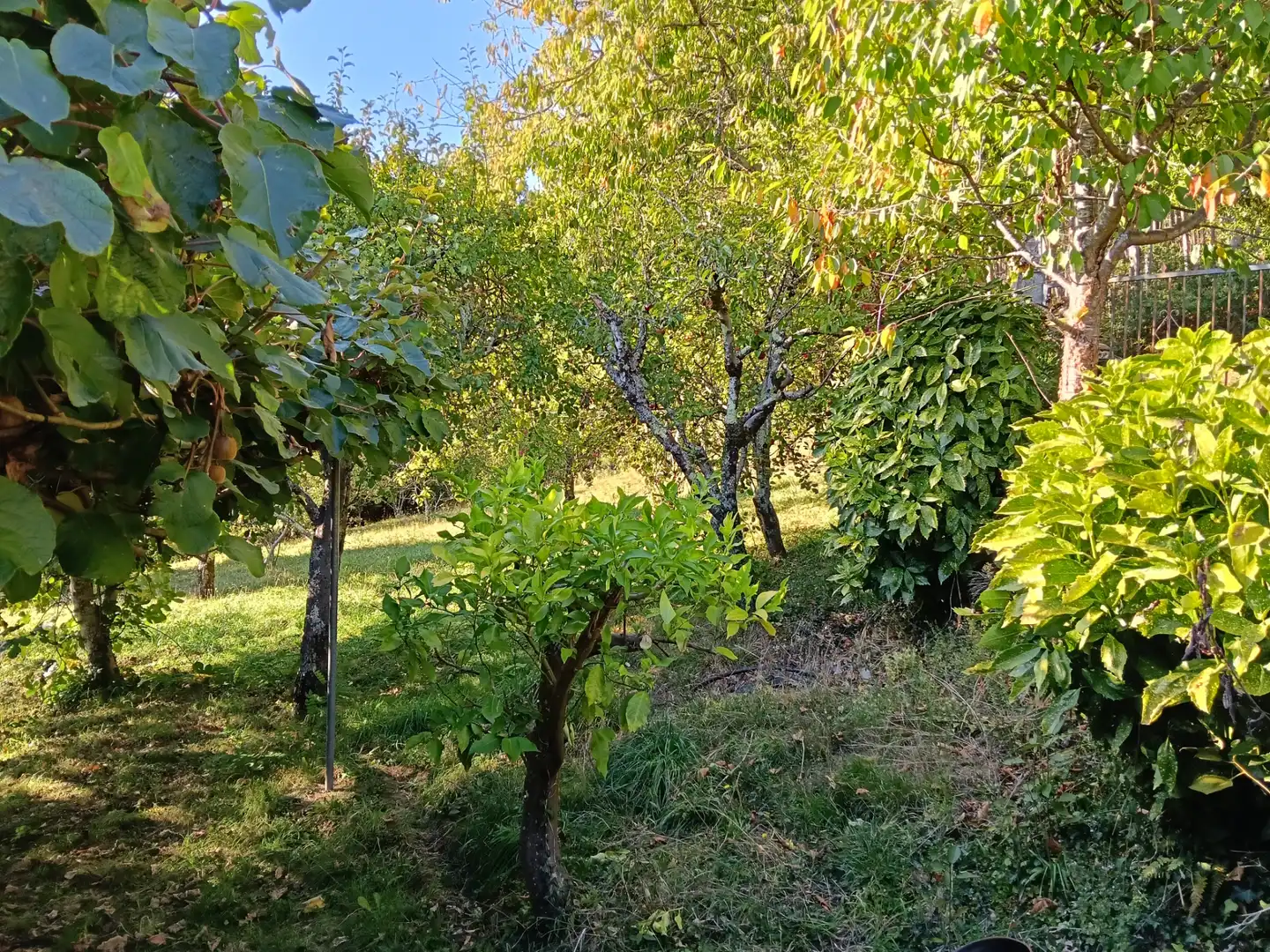Casa amb jardí en venda a Oza dos Ríos, imagen 16