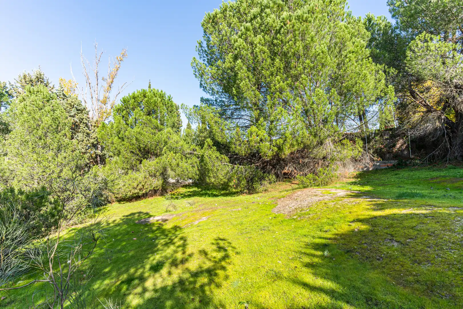 Jardí de Residencial en venda en Las Rozas de Madrid